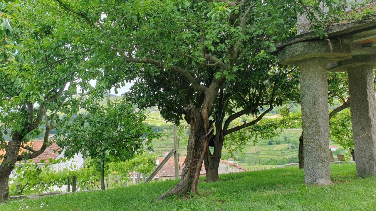 Apartmán Casa Caminho Da Ponte Monção Exteriér fotografie